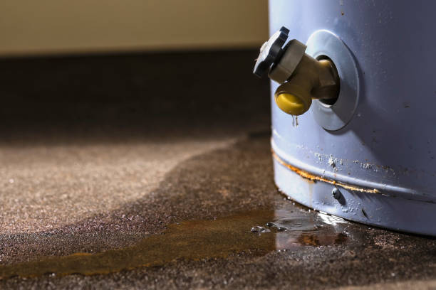 Best Water damage restoration near me  in Hornsby Bend, TX