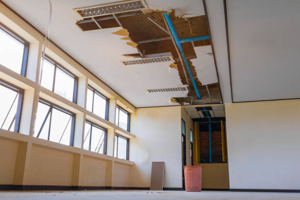 Best Residential water damage restoration  in Hornsby Bend, TX