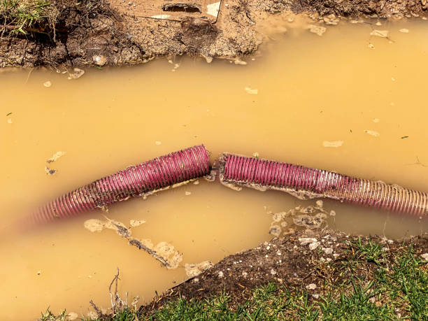 Best Flood restoration services  in Hornsby Bend, TX